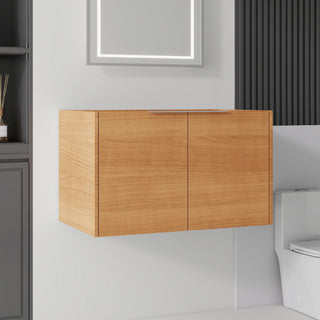 Floating Bathroom Vanity Cabinet & Soft Close Double Doors, Spacious Interior Storage, Wall Mounted, Cabinet Only