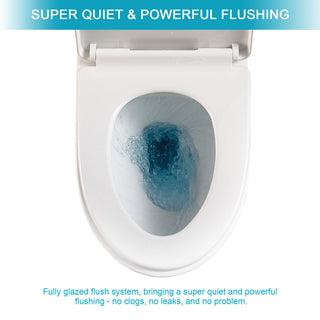 1 Piece Toilet & Soft Closing Seat - White