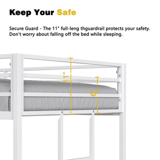 Adam - Bunk Bed