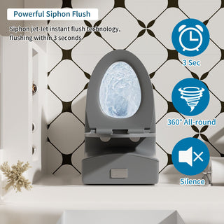 1 Piece Toilet With Dual Flush And Soft Closing Seat