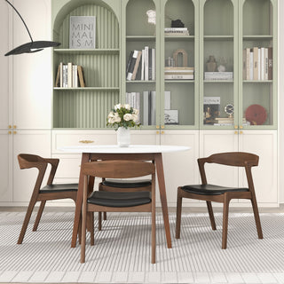 Dakota - Mid-Century Modern Dining Chair (Set of 2)