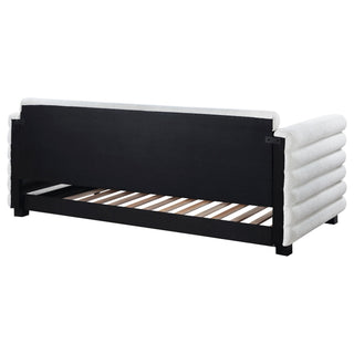 Fandango - Upholstered Twin Day Bed With Trundle - White