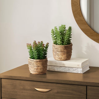 Artificial Succulent, Table Decor (Set of 2) - Green / Light Brown - Plastic