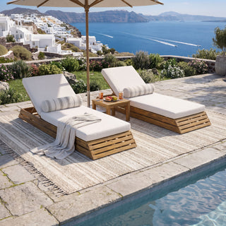 Chaise Lounge Set With 2 Fold Cushion