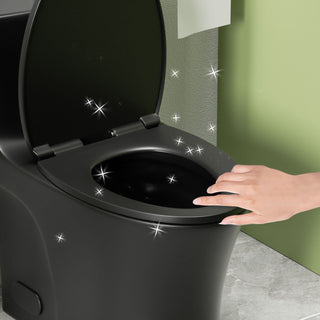 1 Piece Toilet With Dual Flush And Soft Closing Seat