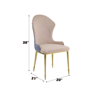 Caolan - Side Chair (Set of 2) - Tan