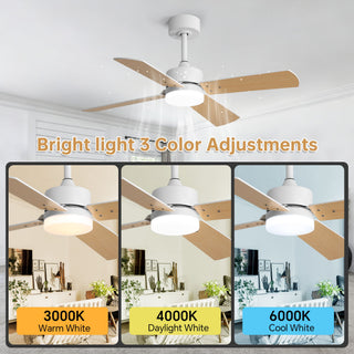 42" Ceiling Fan With Light And Memory Function, DC Reversible Motor, 4 Blades