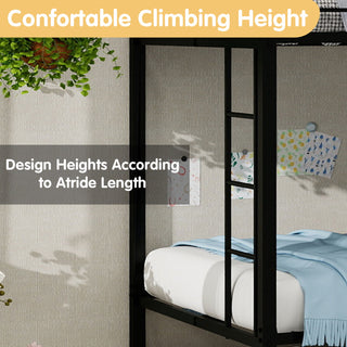 Bunk Bed For Kids, Convertible Frame With Ladders & Guardrail