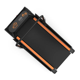 Dog Treadmill For Small To Medium Dogs With LED Display - Black / Orange