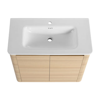 Freestanding Bathroom Vanity With Sink & 2 Soft Close Doors