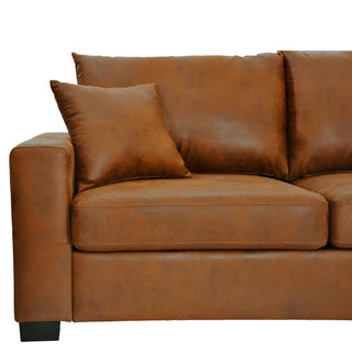 2 Seater Sofa, 2 Throw Pillows For Living Room