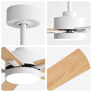 Reversible DC Motor Ceiling Fan With Dimmable LED Light For Living Room
