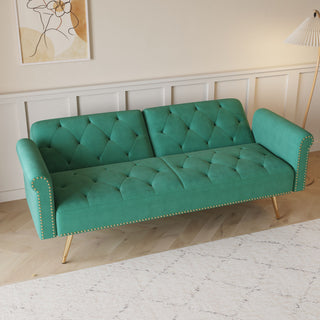 Luxurious Sofa Bed With Nail Head Trim And Matching Pillow
