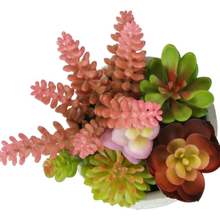 Artificial Succulent, Table Decor (Set of 2) - Green / Gray - Plastic
