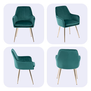 Modern Mid Back Dining Chairs