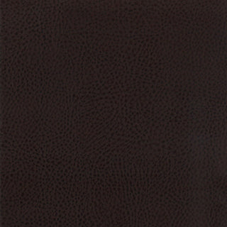 Dewey - Upholstered Counter Chair (Set of 2) - Walnut