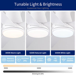 Flush Mount Ceiling Fan With Light