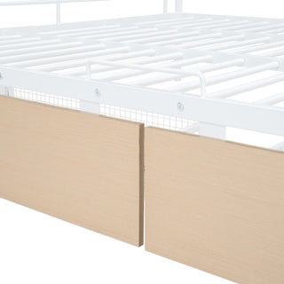 Contemporary Bunk Bed
