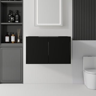 Floating Bathroom Vanity Cabinet With Soft Close Double Doors, Spacious Interior Storage, Wall Mounted, Cabinet Only