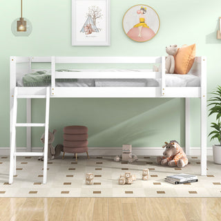 Low Loft Bed With Adjustable Ladder