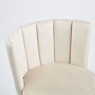 Ergonomic Dining Chair (Set of 2)