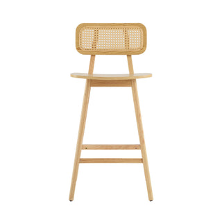 Bari - Indoor Wood Barstool (Set of 2)