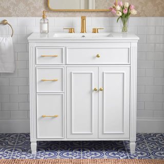 Freestanding Bathroom Vanity With Sink, Soft Close Door, Tip Out Drawer