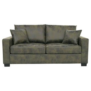 2 Seater Sofa, 2 Throw Pillows For Living Room - Olive Green