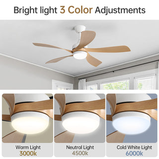 45" Ceiling Fan With DC Motor Smart App Control Quiet Reversible Operation Dimmable Lighting And Timer
