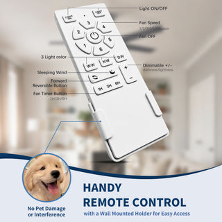 Ceiling Fan With Lights And Remote Control, Reversible DC Motor, 6 Speeds, 3 Cct Dimmable LED, Quiet Timer For Indoor - Black