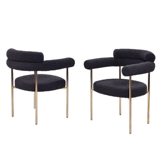 Upholstered Accent Dining Chairs With Armrests (Set of 2)