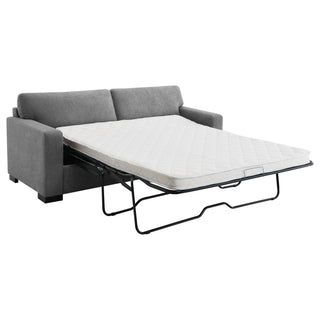 Vicente - Sleeper Sofa With Queen Mattress - Gray