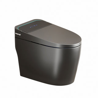 Smart Bidet Toilet With Auto Open / Close Seat