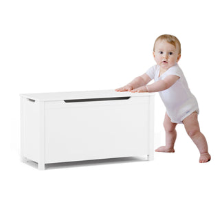 Toy Box Storage With Safety Hinged Lid