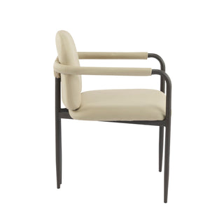Modern Dining Chair (Set of 2) With Iron Frame - Espresso / Khaki