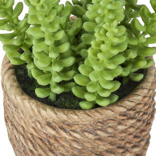 Artificial Succulent, Table Decor (Set of 2) - Green / Light Brown - Plastic