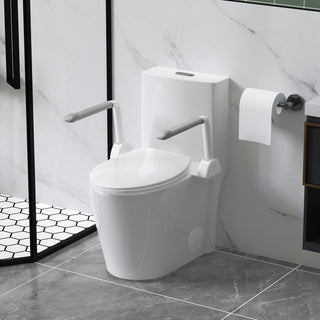 Upgraded Design Armrest, With Glossy Gw 007 1 Piece Toilet With Tornado Flush, Soft Close Seat, Dual Flush Map 1000G, Comfort Chair Seat - Gloss White
