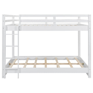 Sturdy Bunk Bed With Ladder
