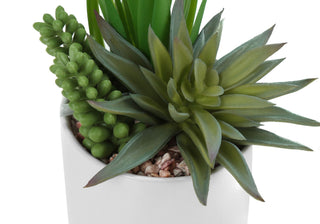 Artificial Succulent Plants (Set of 2)