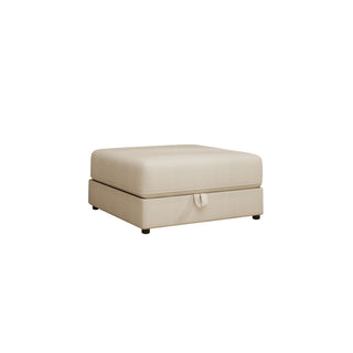 Modular Sectional Sofa With Storage, Convertible 2 Seater Sleeper Sofa - Beige