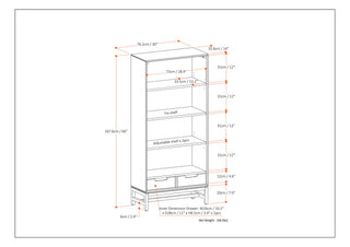 Banting - Bookcase - Walnut Veneer