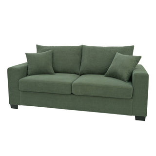2 Seater Sofa, 2 Throw Pillows For Living Room