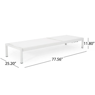 Outdoor Patio Chaise Lounge With 5 Reclining Positions