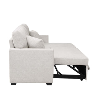 Upholstered Sectional & Pull Out Bed And Chaise Storage