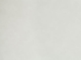 Gaines - Synthetic Leather Side Chair (Set of 2) - White