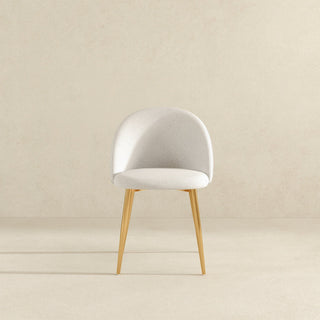 Marion - Mid Century Modern Dining Chair (Set of 2)