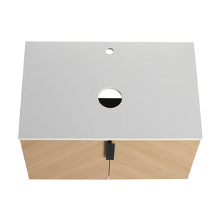 Wall Mounted Bathroom Vanity & Art Sink