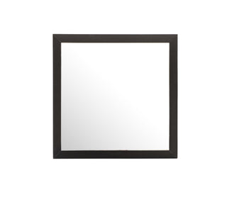 Burlington - Modern Design Transitional Wall Mirror