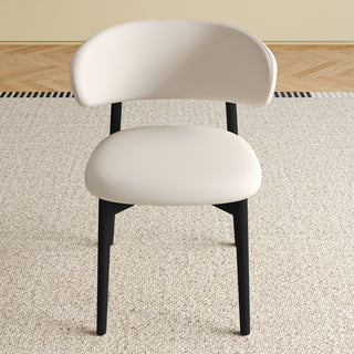 Mid-Century Modern Dining Chair (Set of 2)