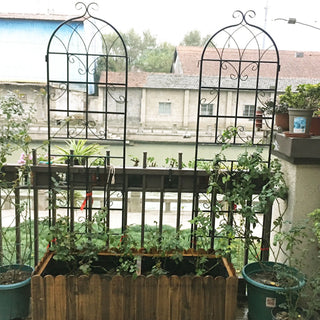 Metal Garden Rustproof Trellis For Climbing Plants Outdoor Flower Support